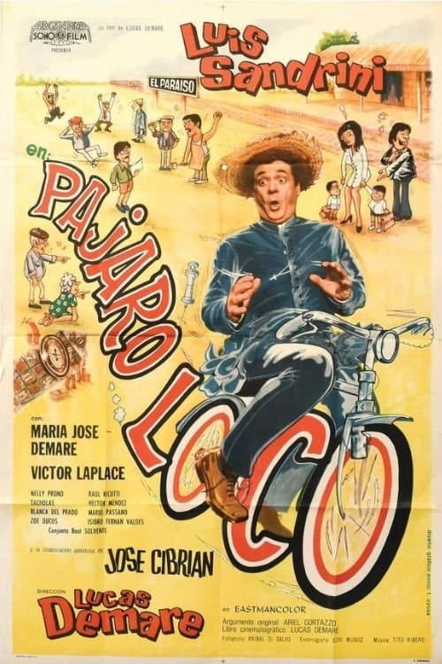 Pájaro loco poster