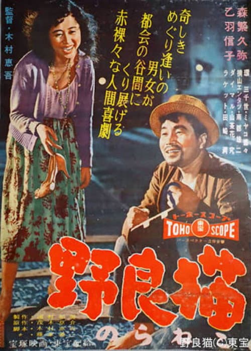 Stray Cat poster