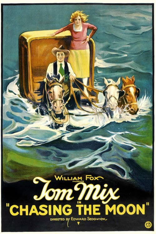 Chasing the Moon poster