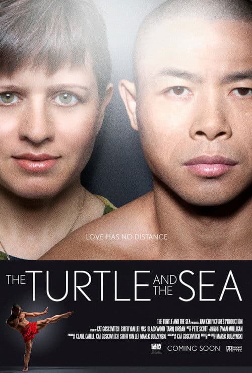 The Turtle and the Sea poster