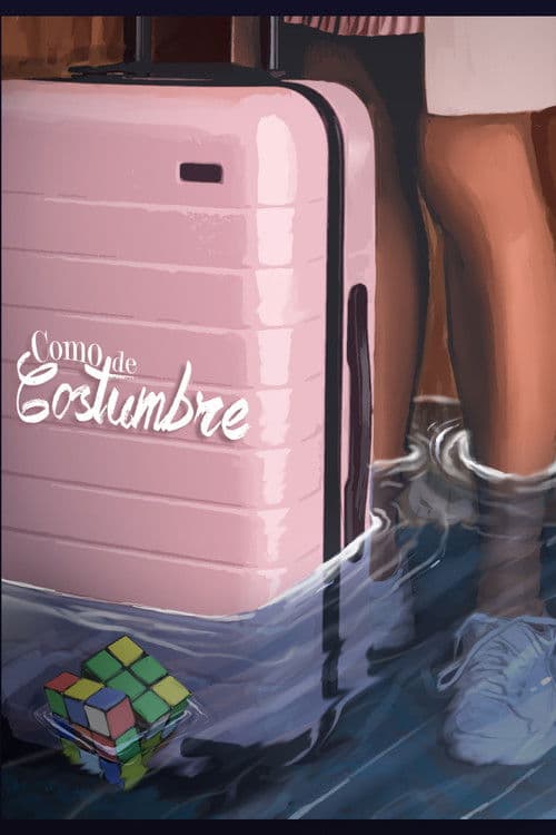 Like We Used To poster