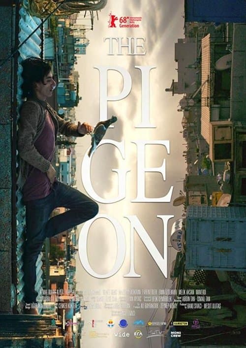 The Pigeon poster