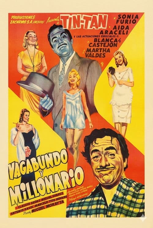 Vagabundo y Millonario poster