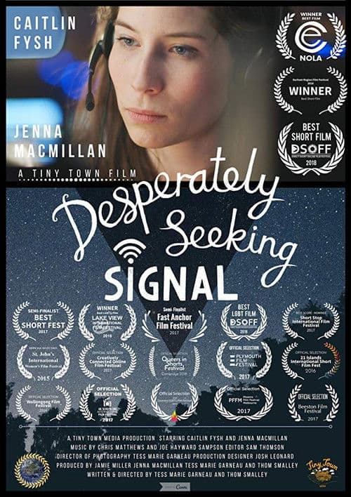 Desperately Seeking Signal poster