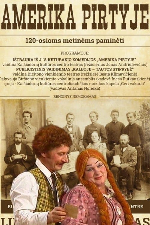 America in the Bathhouse poster