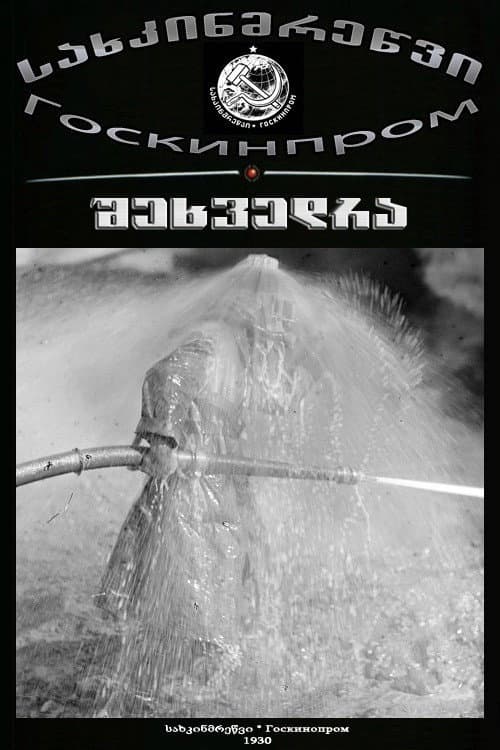 Meeting poster