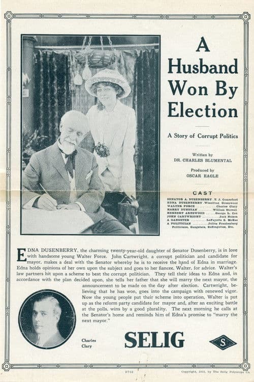 A Husband Won by Election poster