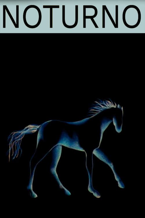 Noturno poster