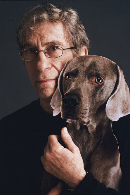 William Wegman profile photo