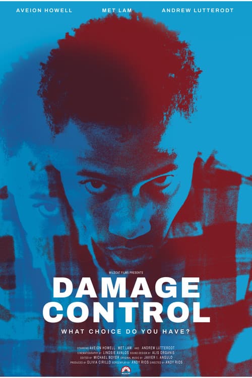Damage Control poster