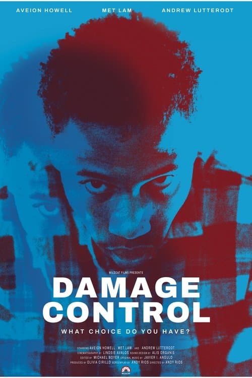 Damage Control poster