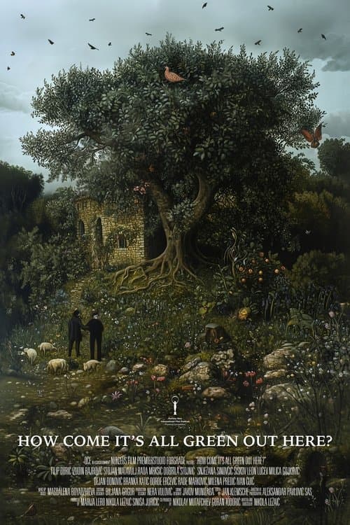 How Come It's All Green Out Here? poster