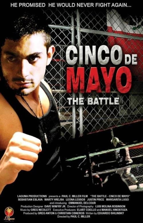 The Battle: Cinco de Mayo poster