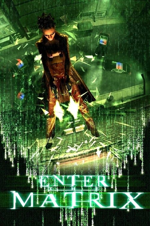 Making 'Enter the Matrix' poster
