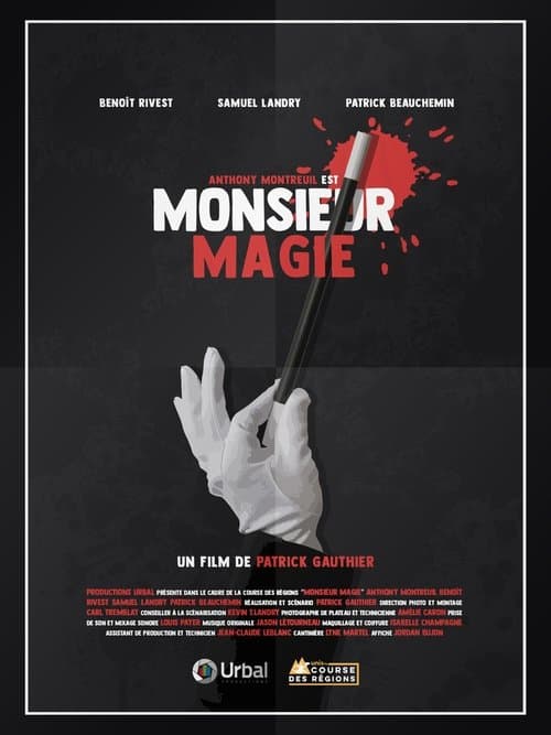 Monsieur Magie poster