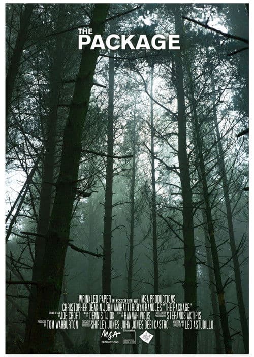 The Package poster