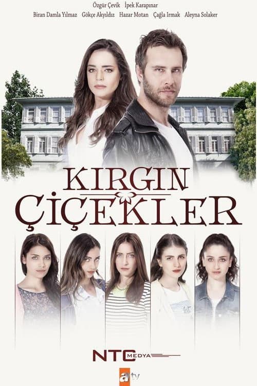 Kırgın Çiçekler poster