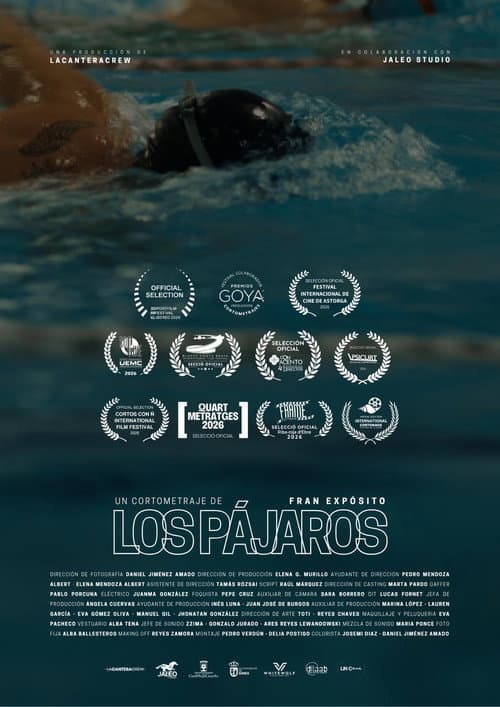 Los pájaros poster
