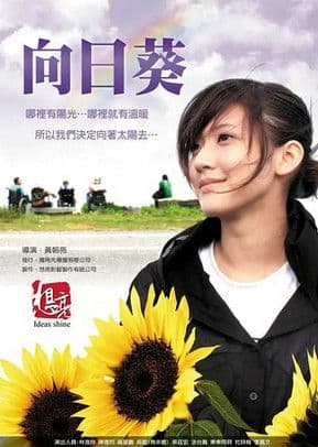 Sun Flowers poster