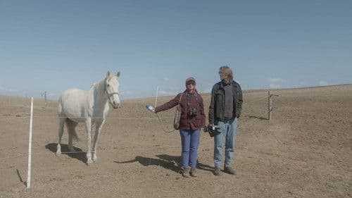 The Most Beautiful Corner in the World poster