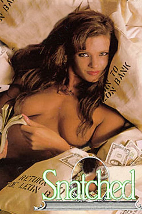 Snatched poster