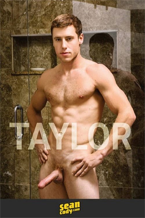 Taylor poster