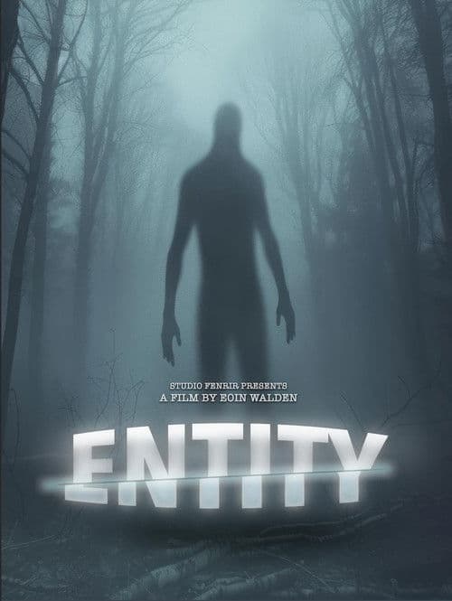 Entity poster