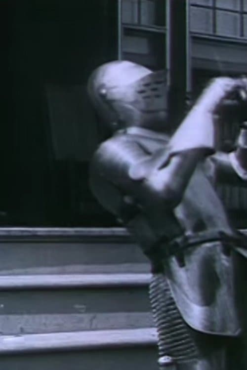 Jerry's Mother-in-Law poster