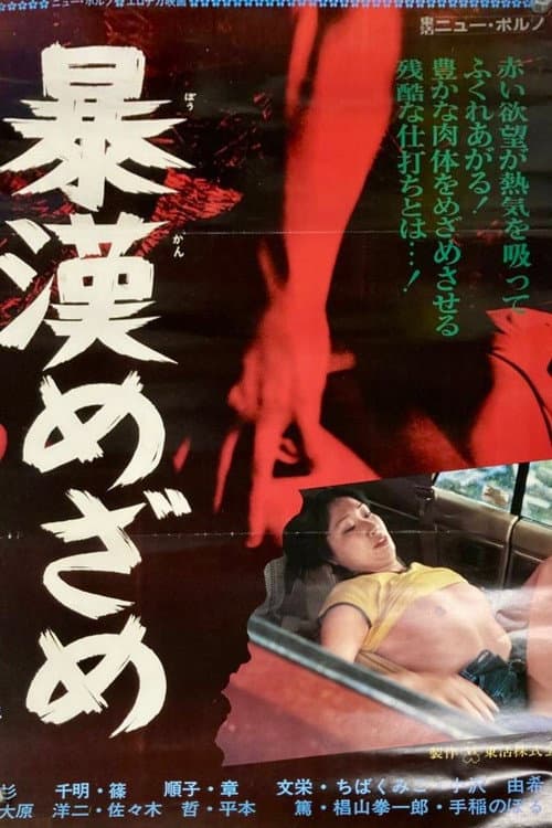 Bôkan mezame poster