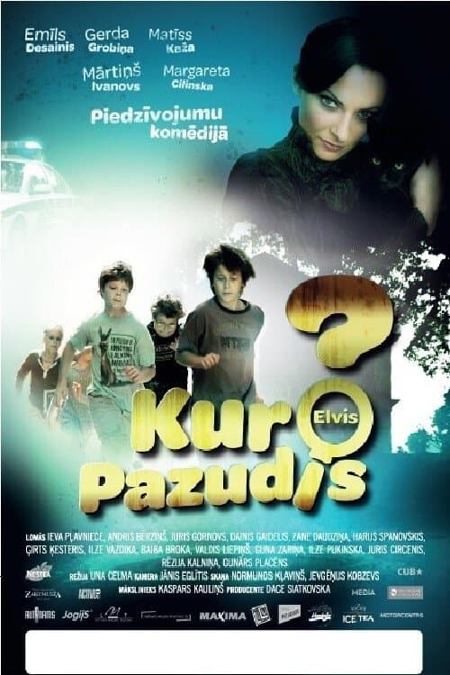 Finding Elvis poster