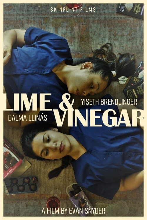 Lime & Vinegar poster