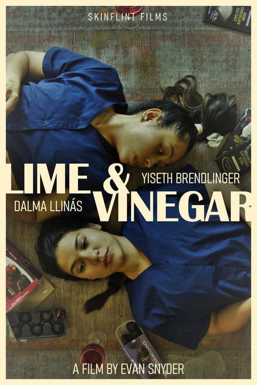 Lime & Vinegar poster