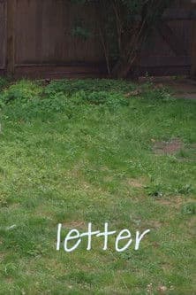 Letter