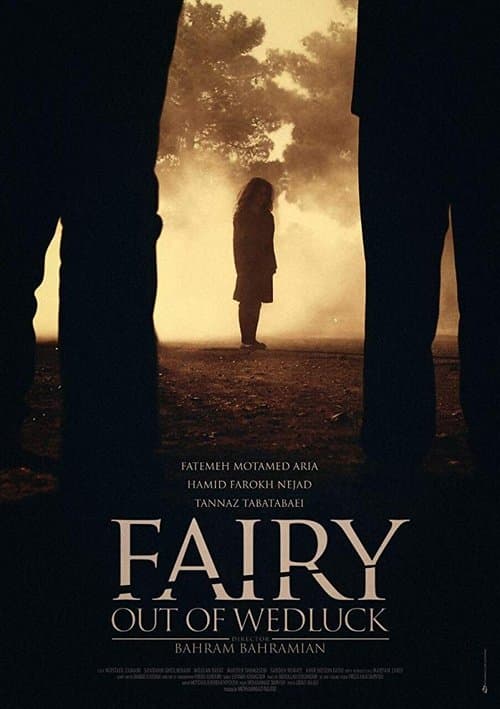 Fairy Out of Wedluck poster