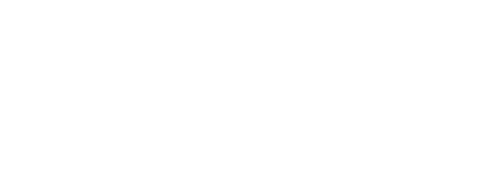 THE TINTIRIN TEAM