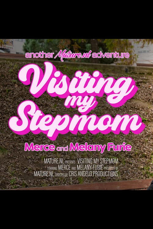 Visiting My Stepmom poster