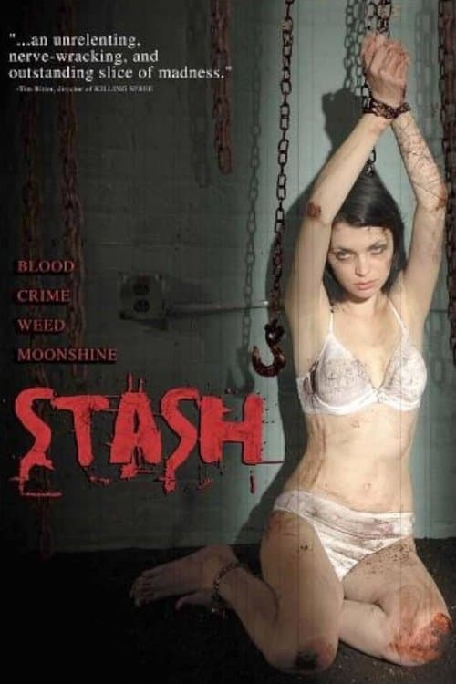 Stash poster