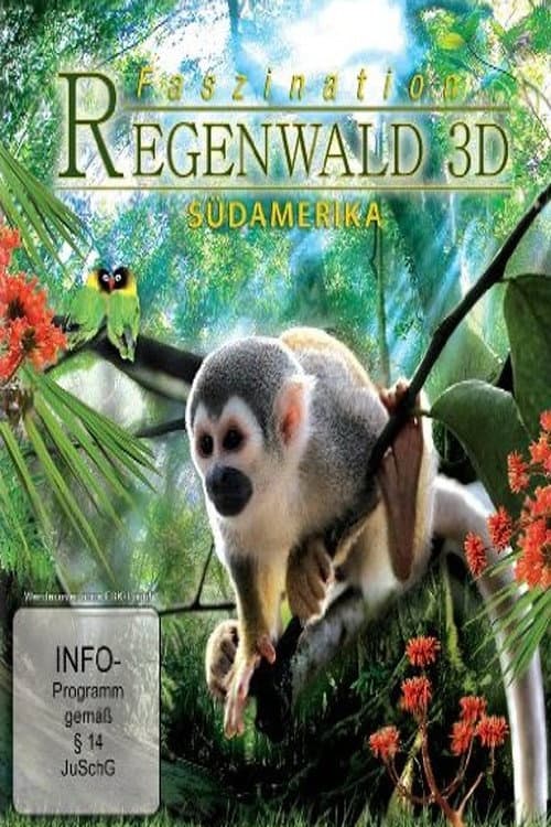 Fascination Rainforest 3D poster
