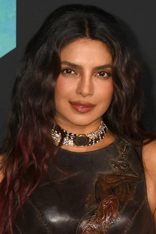 Priyanka Chopra Jonas profile photo