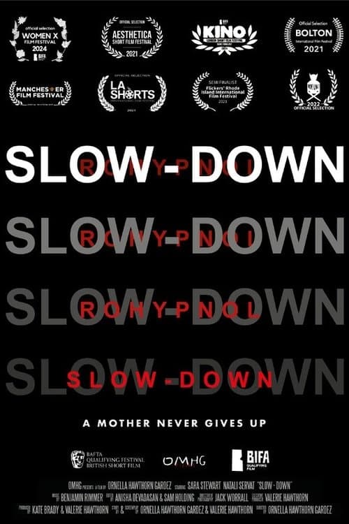 Slow-Down poster