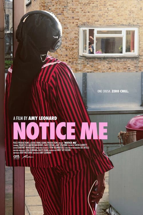 Notice Me poster