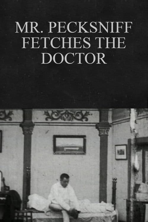 Mr. Pecksniff Fetches the Doctor poster