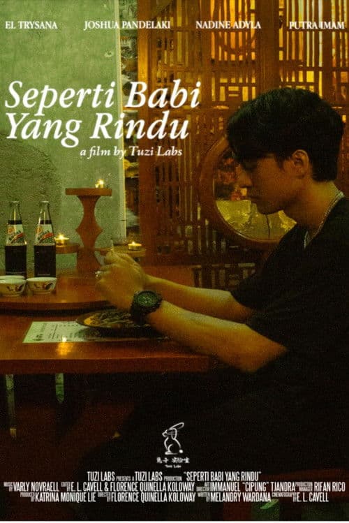 The Longing of a Pig poster