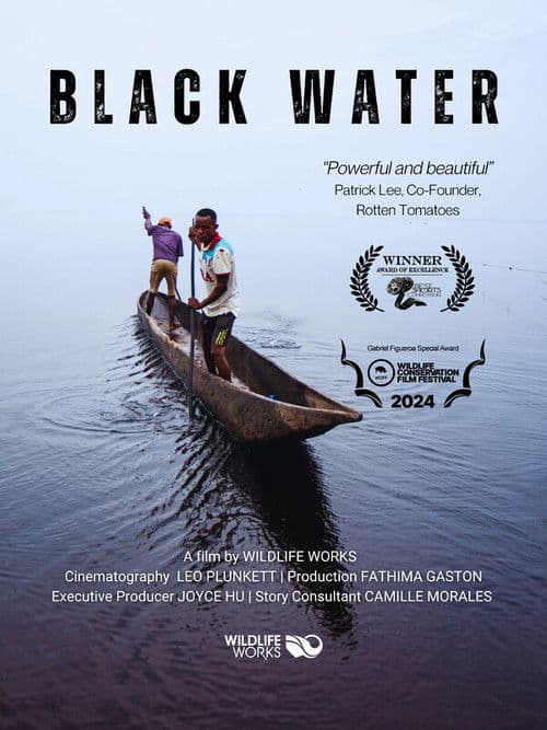 Black Water poster