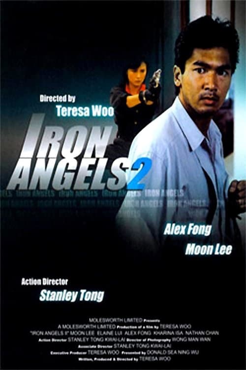 Iron Angels 2 poster