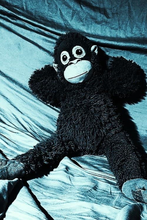 How to properly make a coursework in one day poster