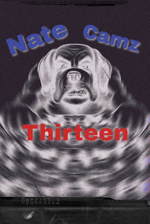 Natecamz 13 poster