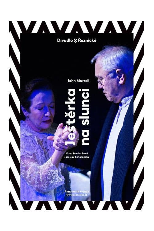 Ještěrka na slunci poster