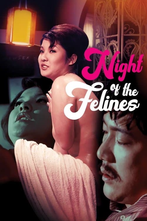 Night of the Felines poster