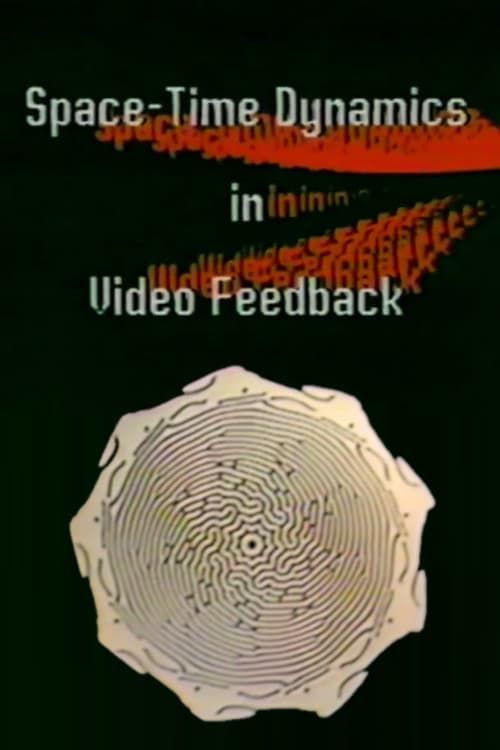 Space-Time Dynamics in Video-Feedback